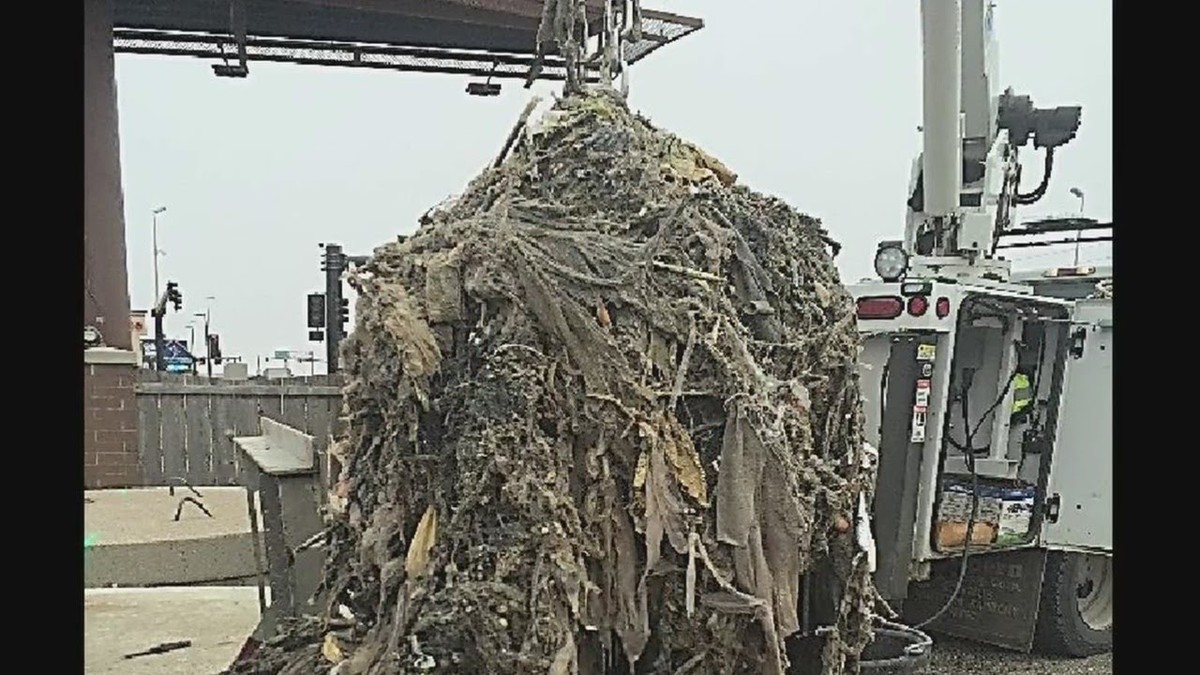 Sanitäter warnen: Diese drei Dinge gehören niemals ins Klo - image 1