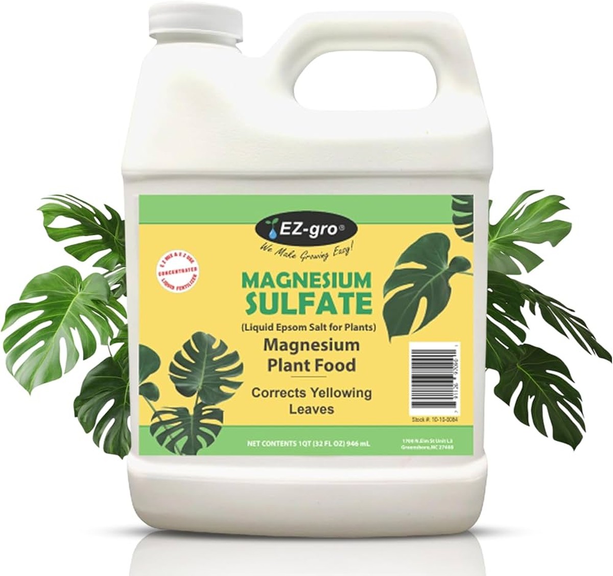 Warum Profigärtner immer Bittersalz ins Gießwasser mischen - image 1