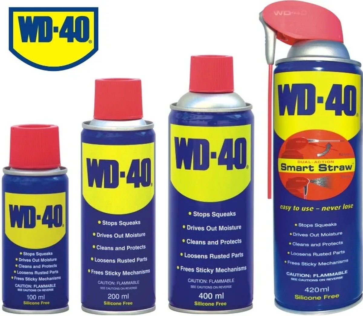 WD-40 auf Schuhen im Winter: Das Geheimnis, das Hersteller verstecken - image 1