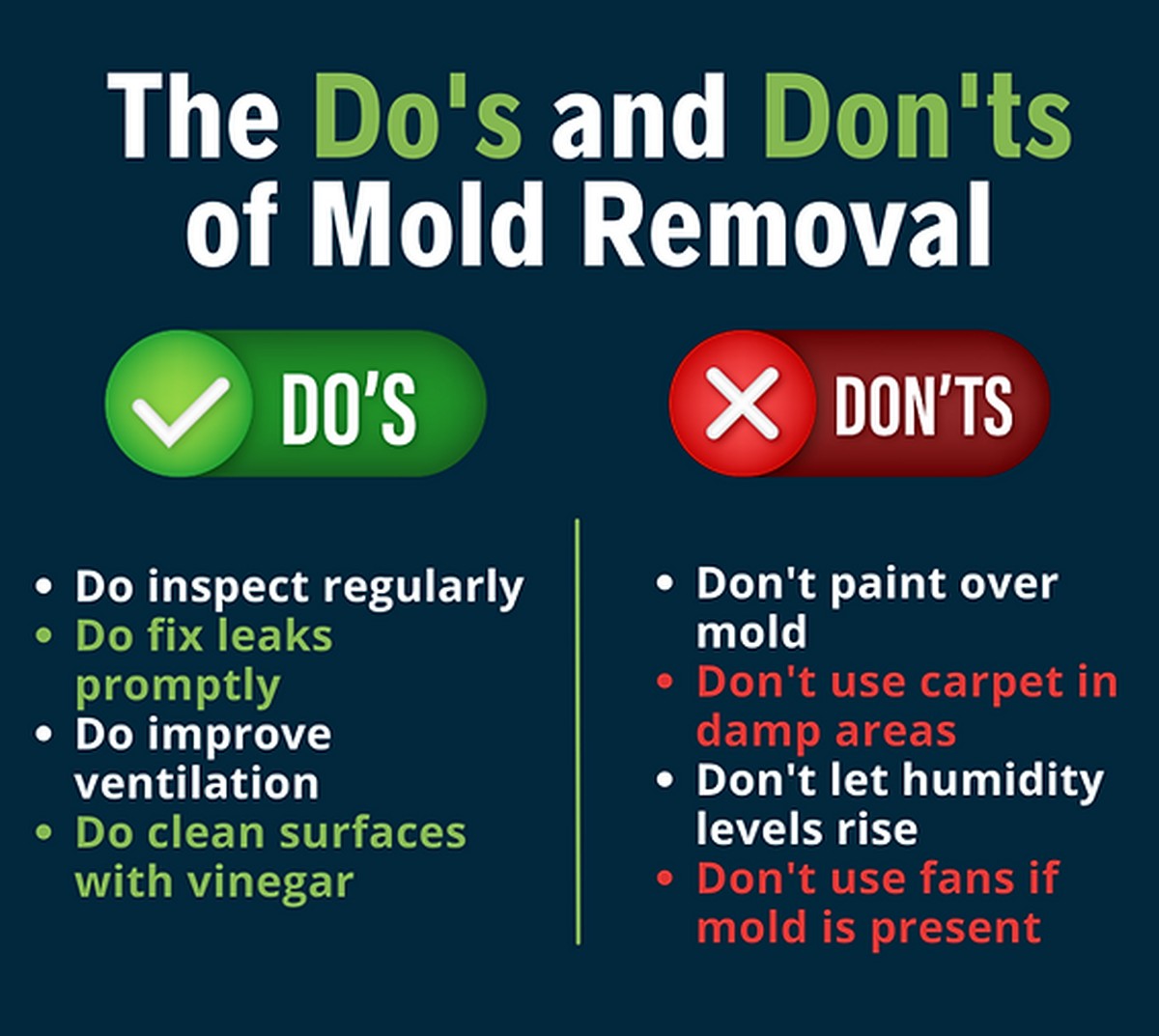Zeitungspapier unter die Matratze legen: Der alte Deutsche Trick gegen Schimmel - image 2
