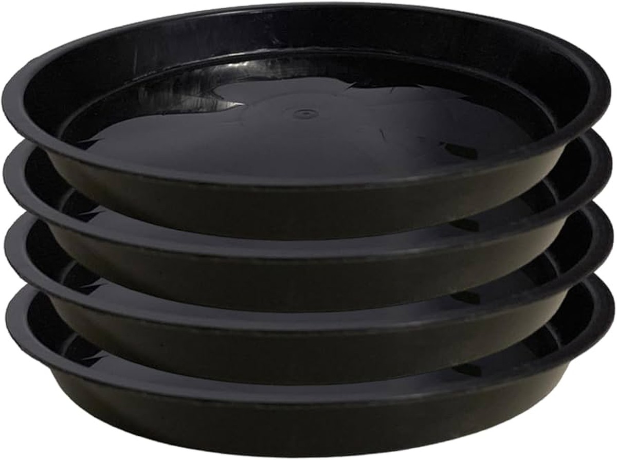 Zeitungspapier unter die Blumentöpfe: Der Trick gegen Wasserflecken auf Möbeln - image 2