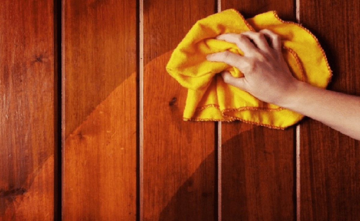 Zeitung unter die Topfpflanze: Der Trick, der Ihre Möbel rettet - image 2