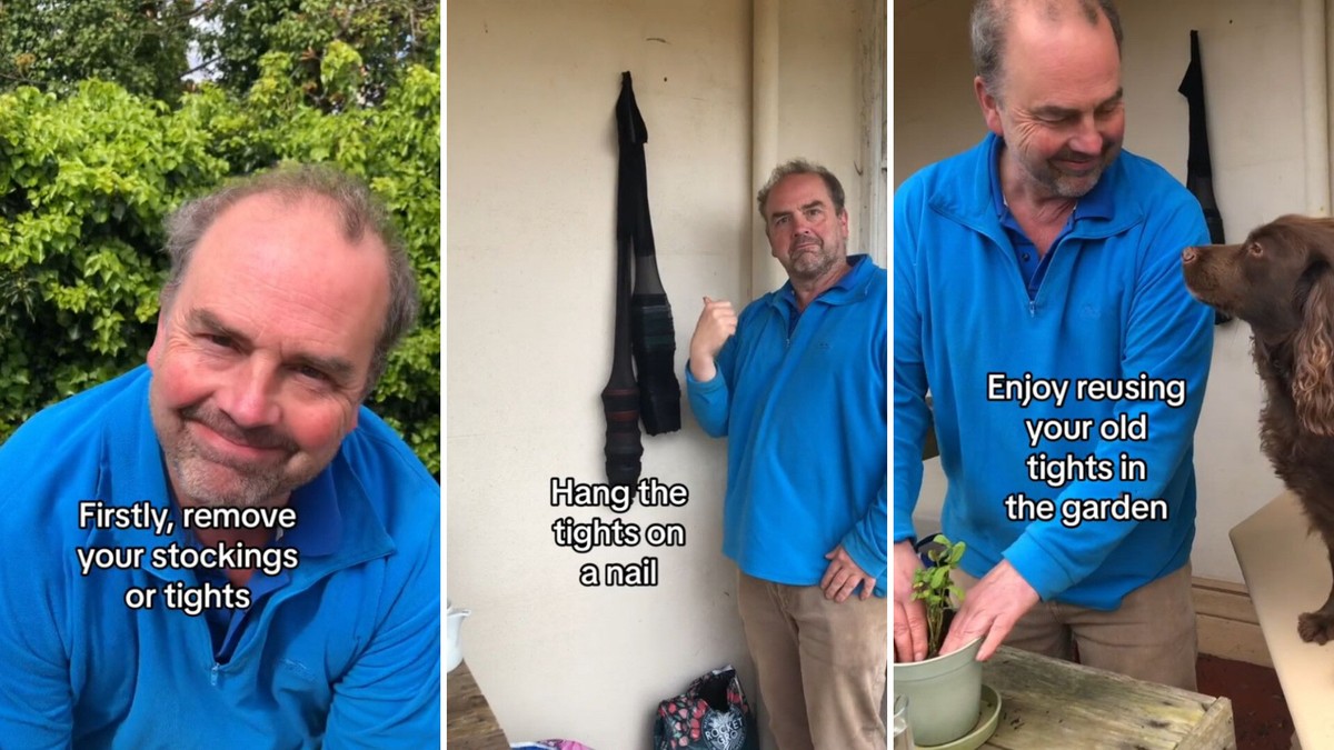 Alte Strumpfhosen als Blumendünger – was Gärtner seit Jahrzehnten wissen - image 1