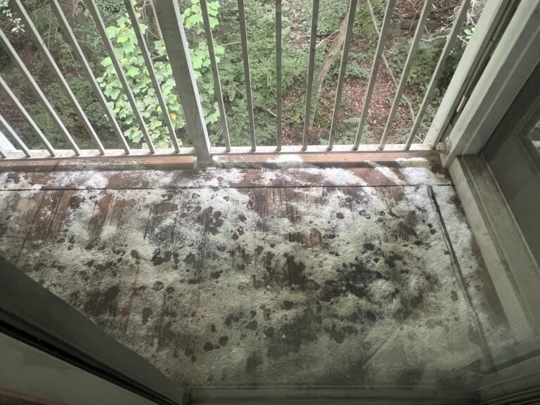 Backpulver auf dem Balkon: Warum Ihre Nachbarn plötzlich Ruhe geben