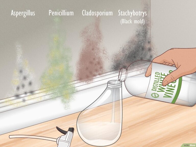 Essig auf Fensterrahmen: Der 5-Minuten-Trick gegen Schimmel im Schlafzimmer