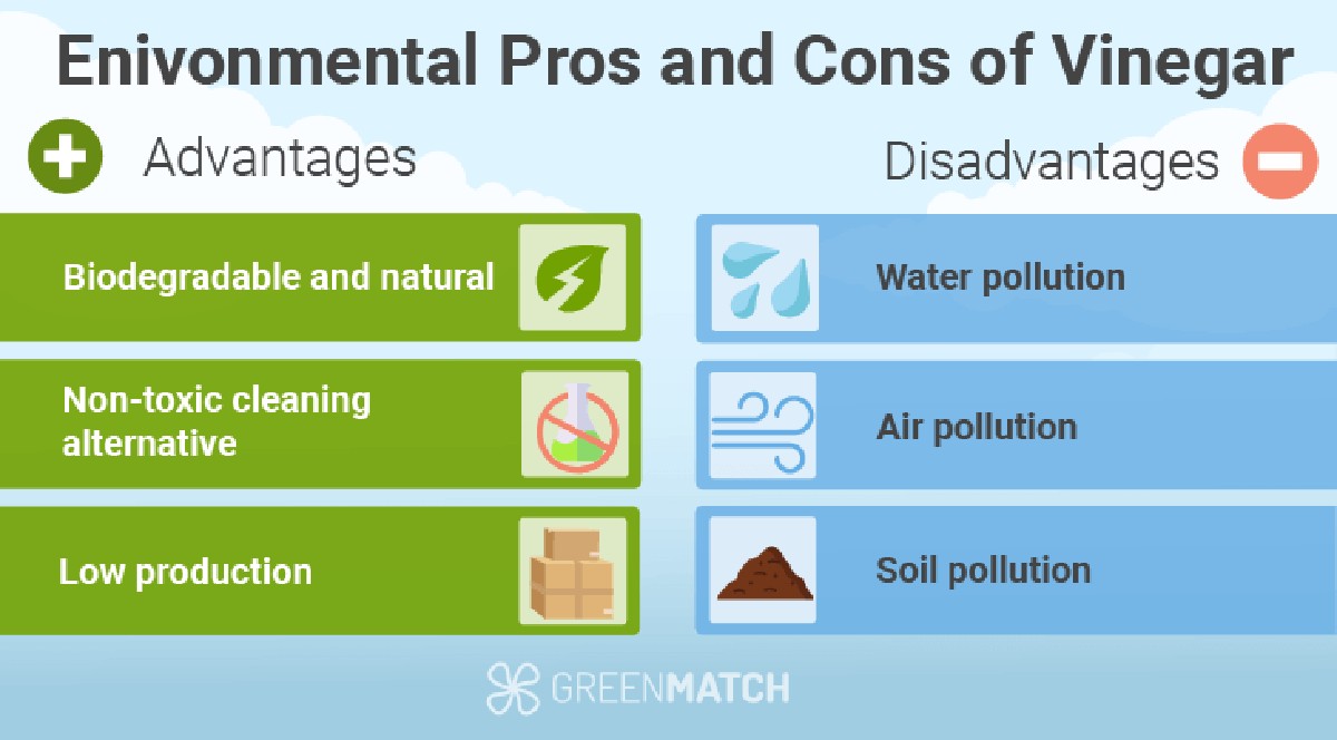Essig in die Blumenerde – warum Pflanzen danach explodieren - image 1