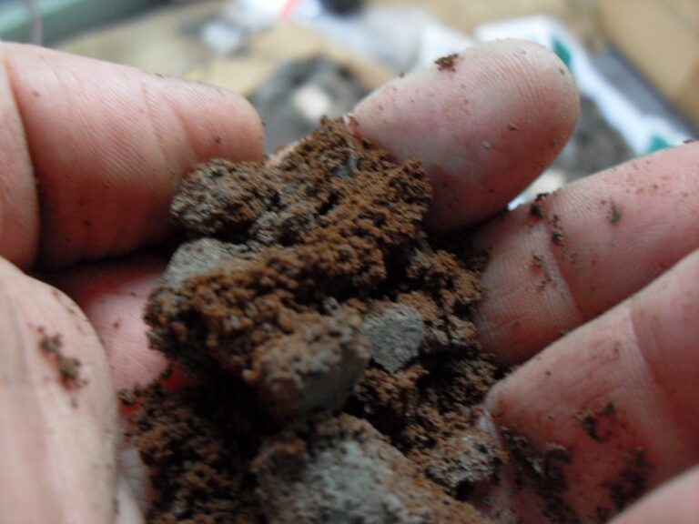 Kaffeesatz hinter den Heizkörper: Der Trick gegen Schimmel und Gerüche