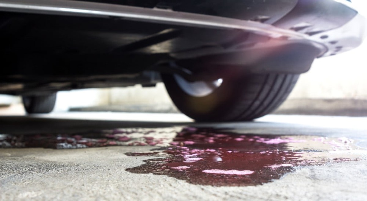 Kaffeesatz hinter den Heizkörper: Warum Handwerker diesen Trick kennen - image 1