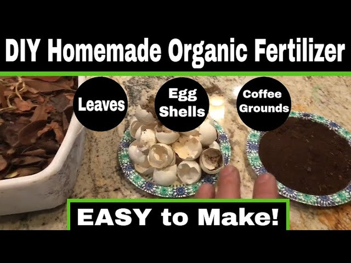 Kartoffelschalen für den Garten: Wie Sie kostenlosen Naturdünger herstellen - image 2