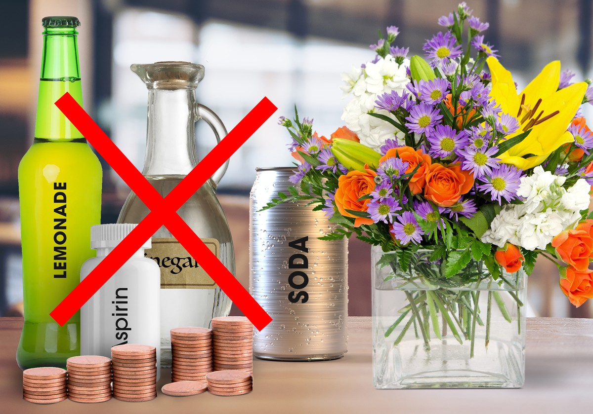 Salzwasser in der Vase: Warum Schnittblumen 3 Wochen länger halten - image 2