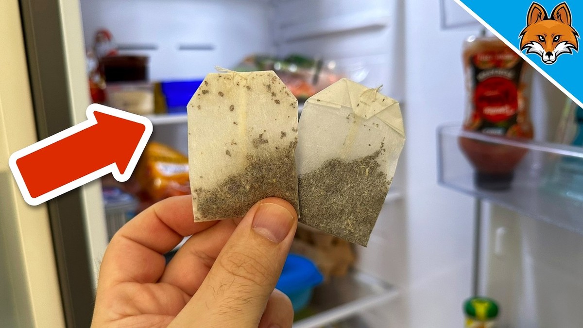 Teebeutel gegen Gerüche im Kühlschrank: Das 10-Cent-Wunder aus deiner Speisekammer