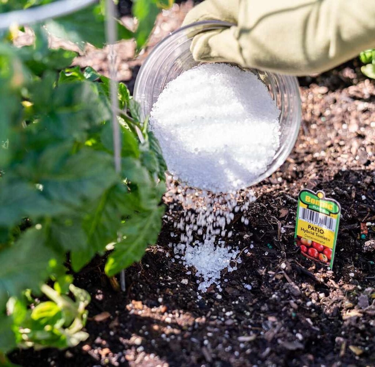 Warum Gärtner immer Bittersalz im Boden verwenden