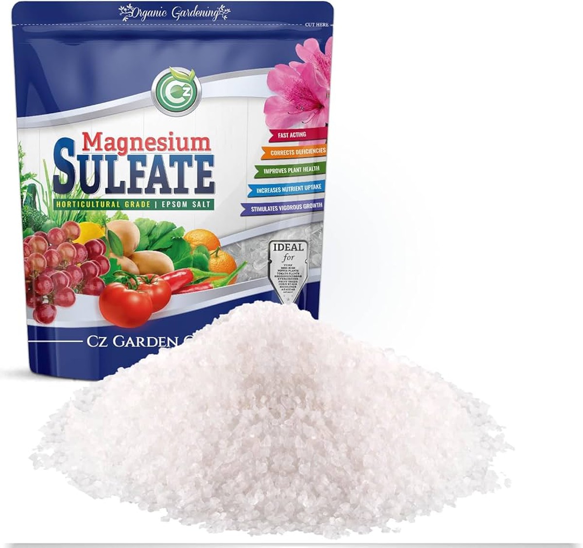 Warum Gärtner immer Bittersalz ins Gießwasser mischen - image 1