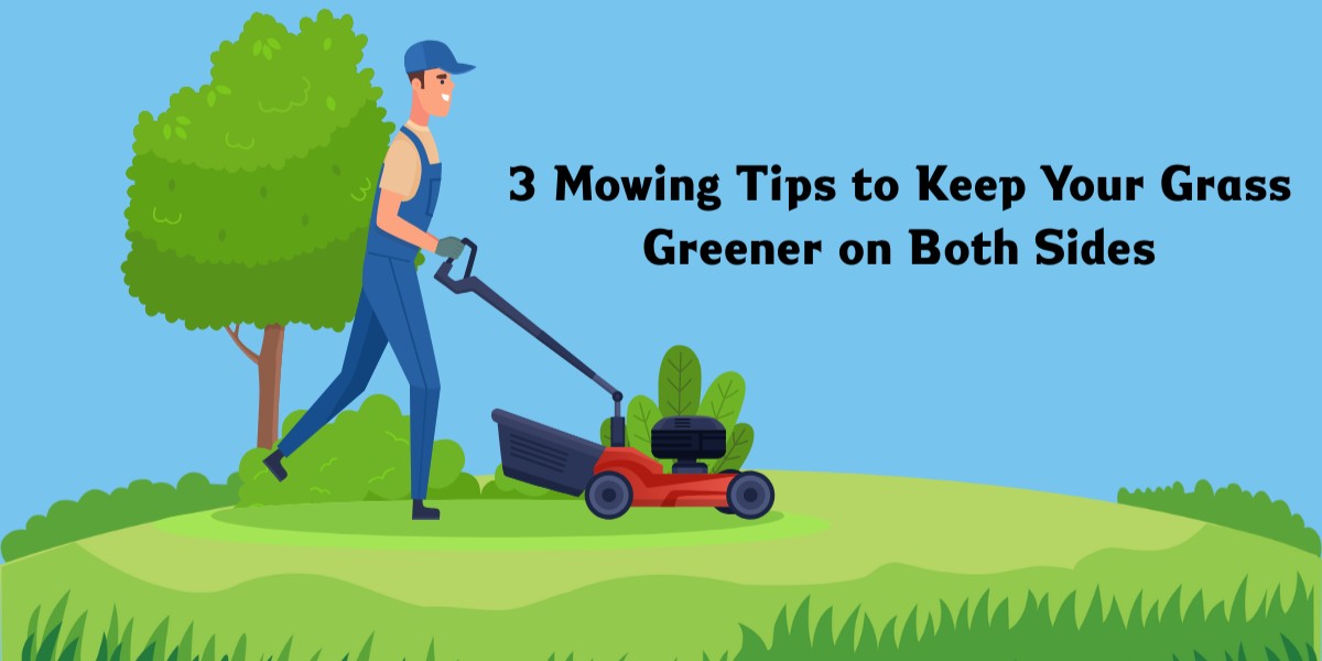 Was Gärtner Dir über Rasenmäher-Timing nicht erzählen - image 1