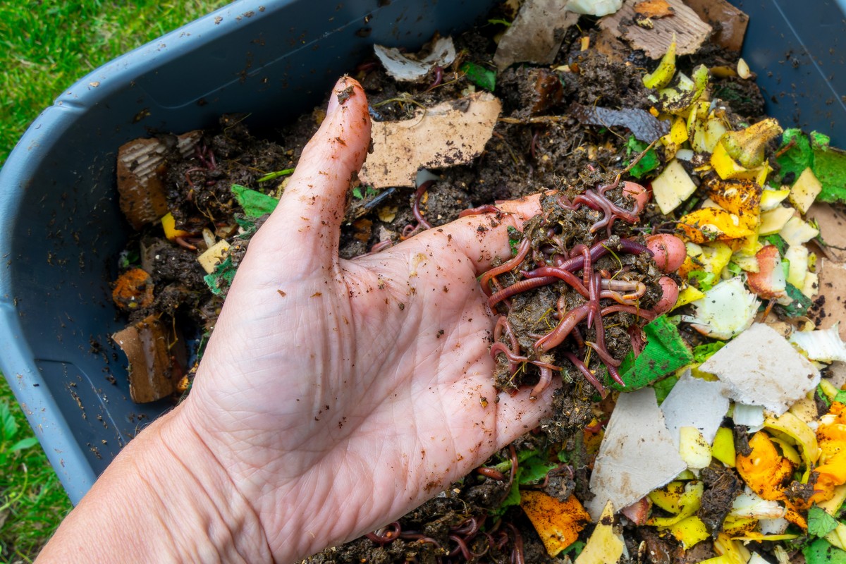 Was Gärtner über Kompost wissen, das Sie nicht lernen - image 2