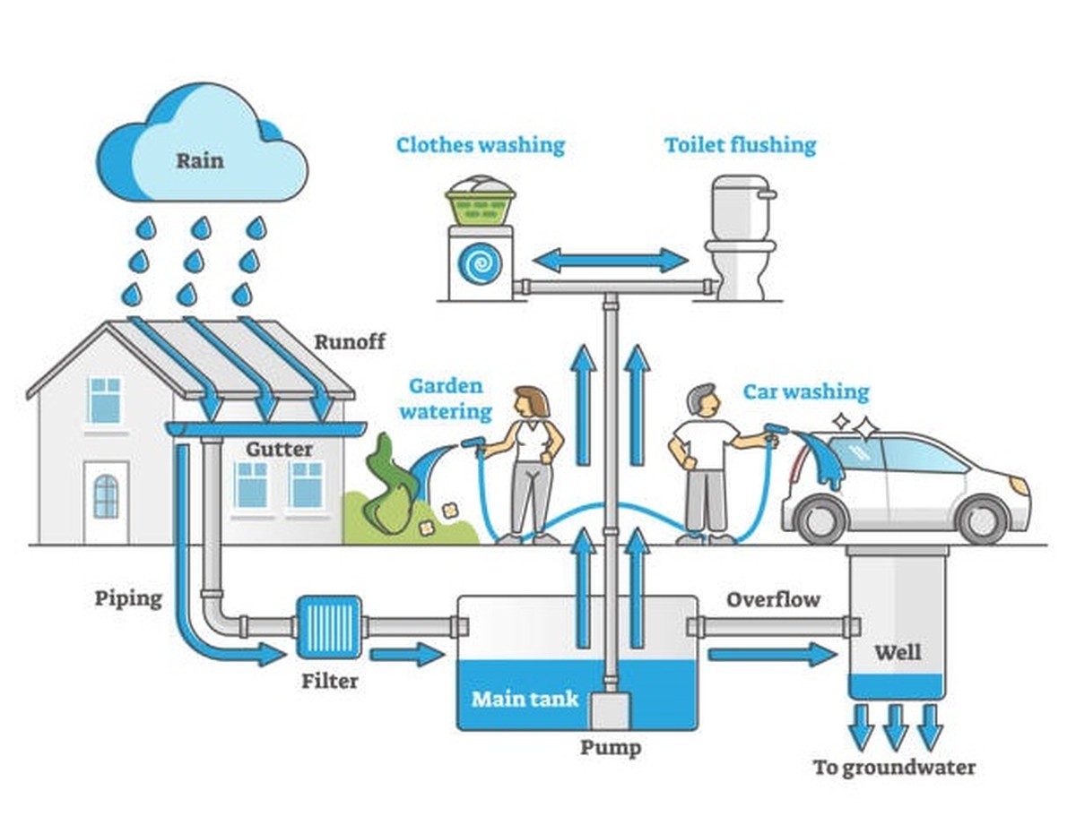 Was Gärtner über Regenwasser wissen, das Sie nicht tun