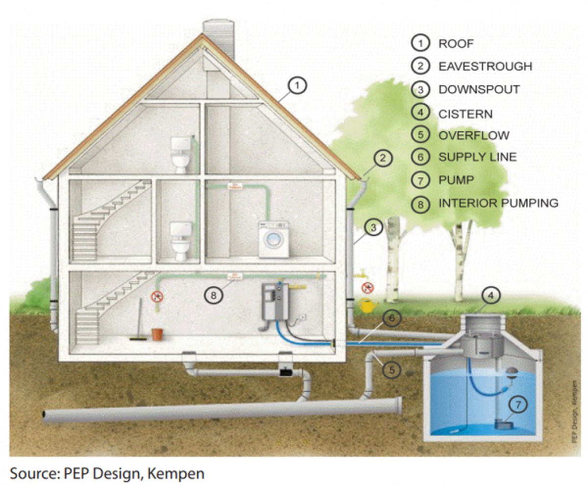 Was Gärtner über Regenwasser wissen, das Sie nicht tun - image 2
