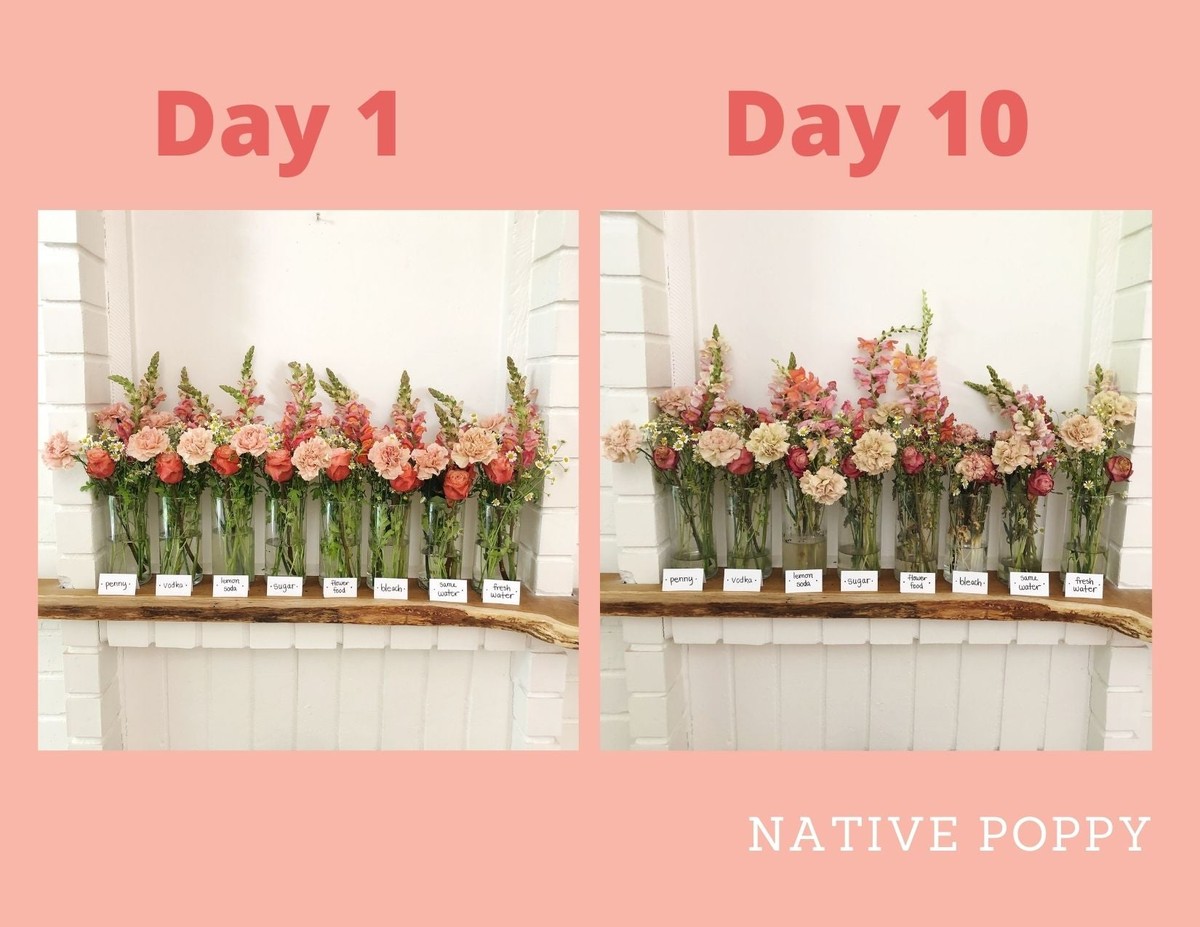 Was Gärtner über Schnittblumen in der Vase wirklich wissen - image 2