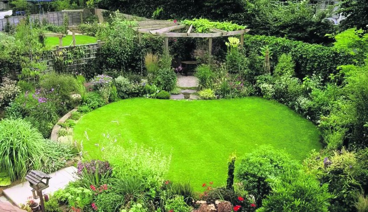 Was Gärtner wirklich über Rasensamen wissen und nicht verraten - image 2