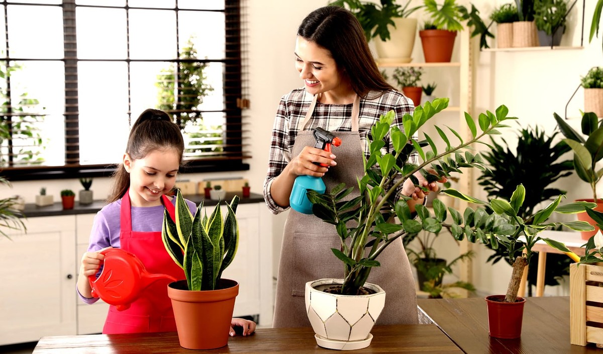 Was Gärtner wirklich denken, wenn Sie Ihre Pflanzen übergießen - image 2