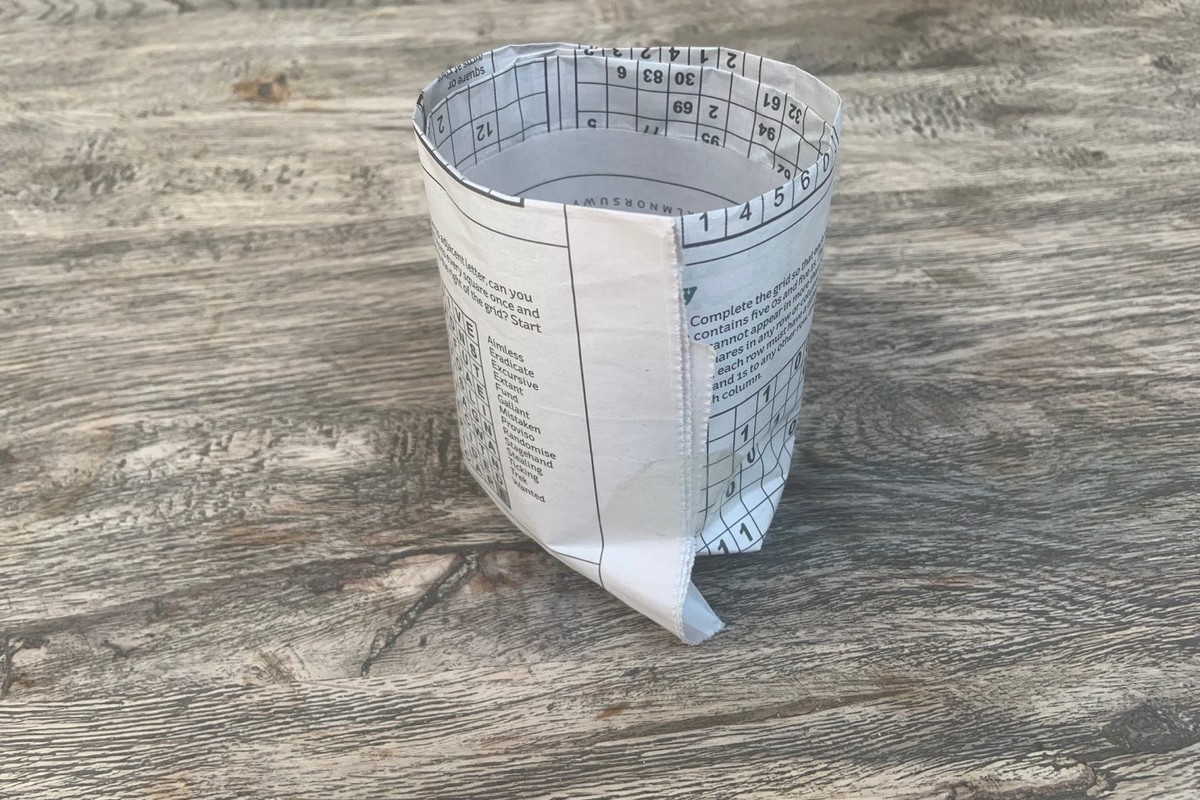 Zeitungspapier in den Blumentöpfen? Warum Gärtner das immer tun - image 1