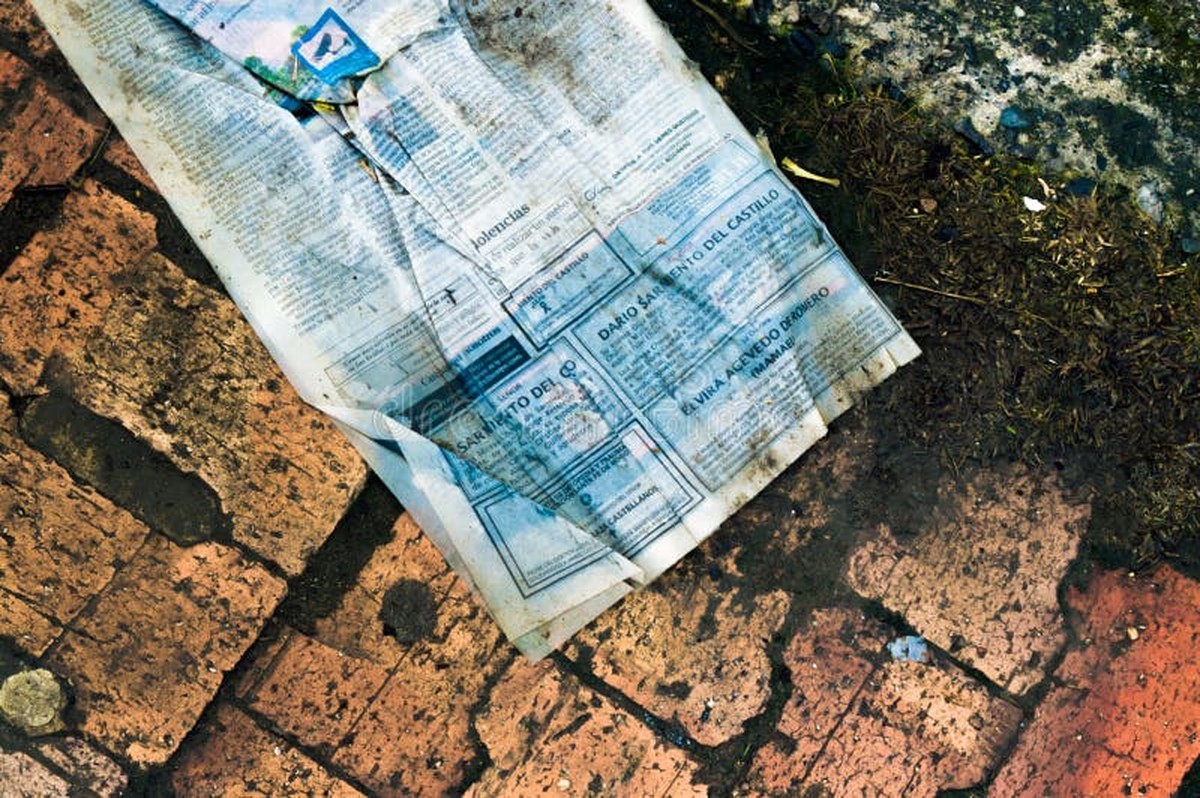 Zeitungspapier in feuchten Ecken: Das alte Handwerkertrick gegen Schimmel - image 1