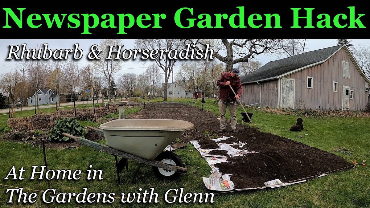 Zeitungspapier im Blumenkübel – warum Profigärtner das immer machen - image 2