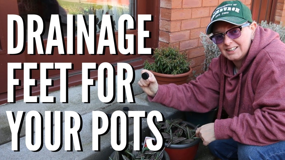 Zeitungspapier in Blumentöpfen: Der alte Gärtnertrick gegen Staunässe - image 2