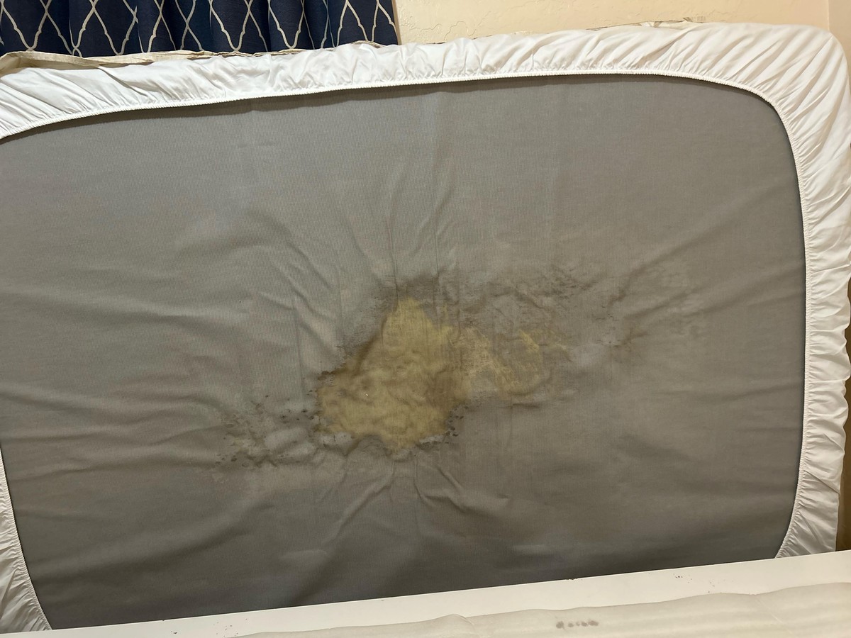 Zeitungspapier unterm Bett: Das jahrhundertealte Geheimnis gegen Feuchtigkeit - image 2