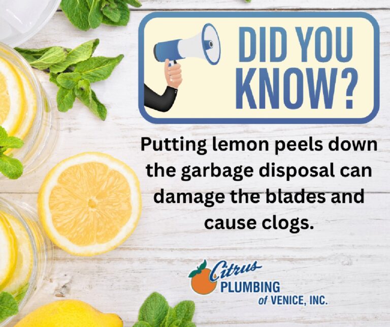 Zitronenschalen im Abfluss: Das natürliche Geheimnis gegen Gerüche