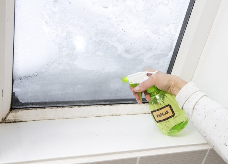 Essig auf die Fensterrahmen – der Trick gegen Schimmel im Winter