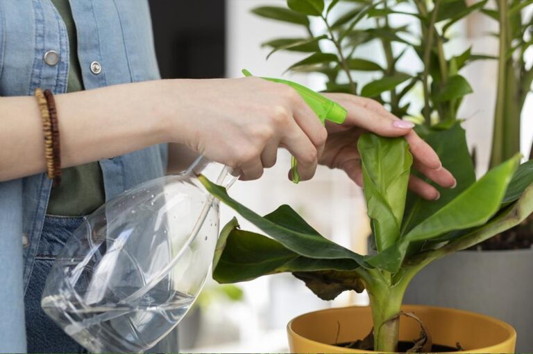 Essig im Gießwasser – das Geheimnis für Pflanzen ohne Kalkflecken