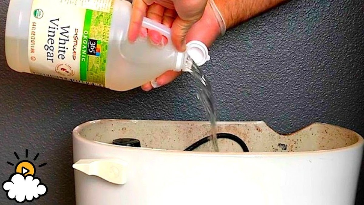 Essig und Backpulver in der Toilette: Das 3-Minuten-Wunder gegen Verstopfung