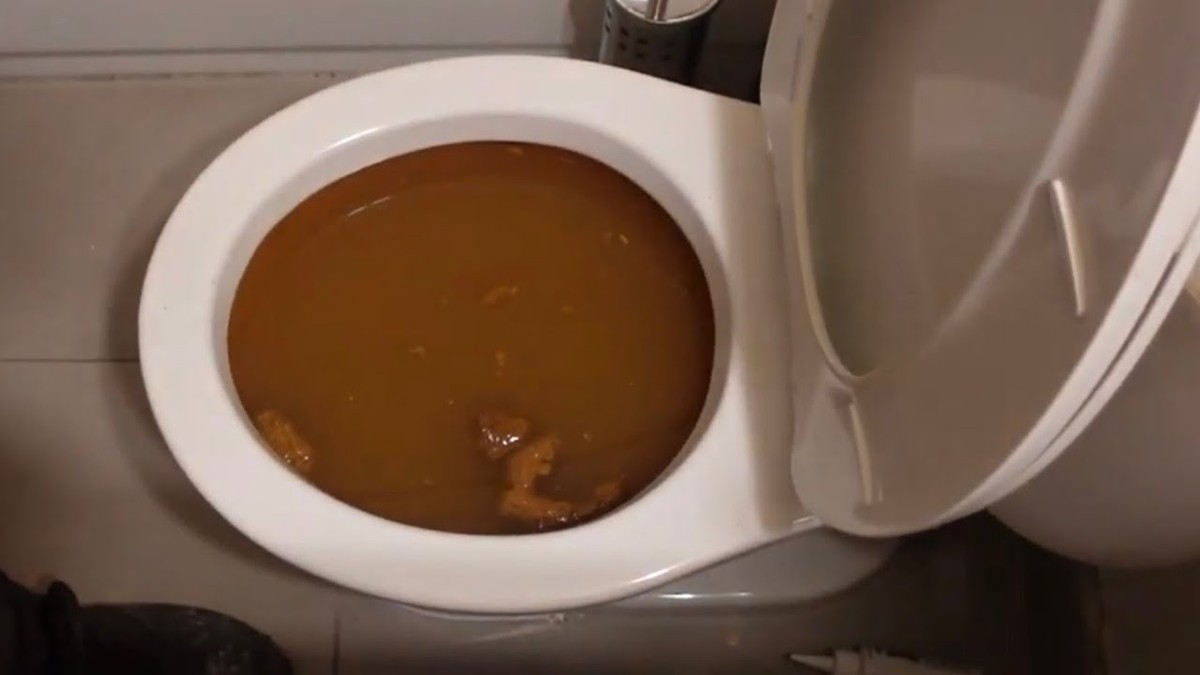 Essig und Backpulver in der Toilette: Das 3-Minuten-Wunder gegen Verstopfung - image 2