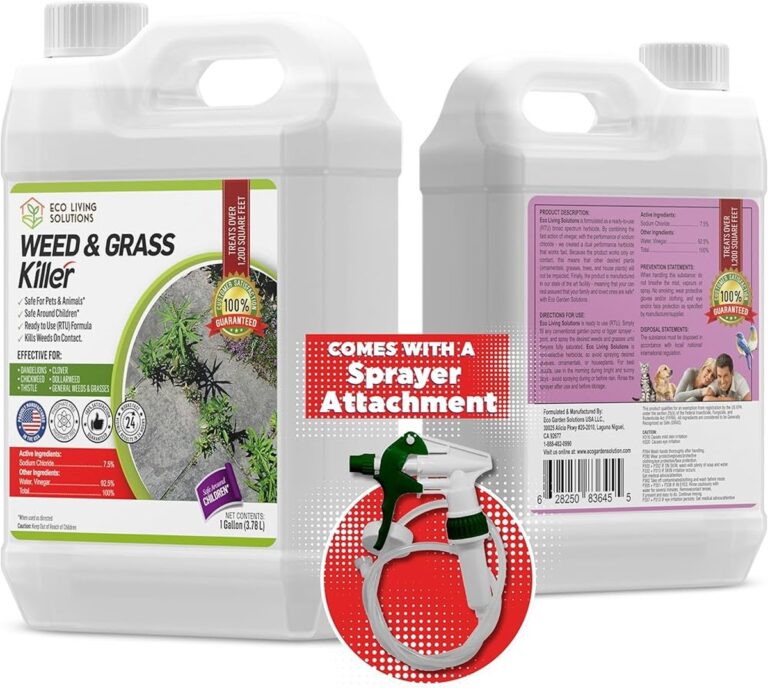 Essig und Salz auf der Terrasse: Das Ende von Unkraut ohne Chemie