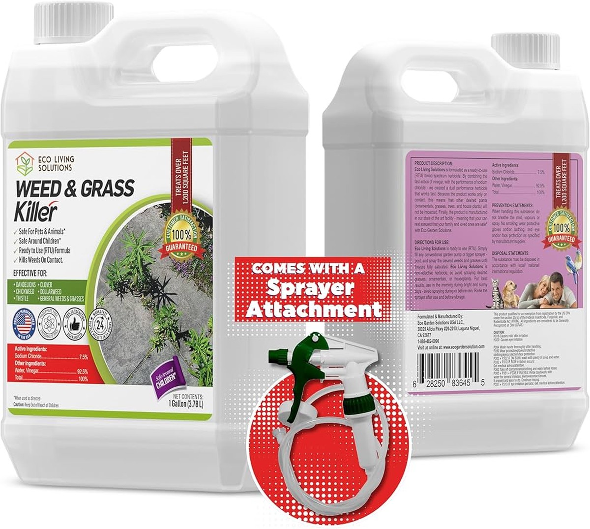 Essig und Salz auf der Terrasse: Das Ende von Unkraut ohne Chemie