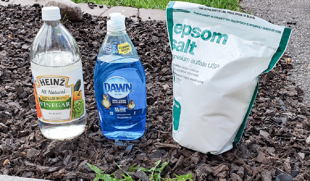 Essig und Salz auf der Terrasse: Das Ende von Unkraut ohne Chemie - image 2