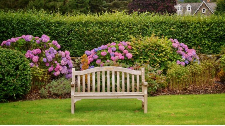 Gartenbauer enthüllen: Warum Sie Ihre Hecke im März schneiden sollten