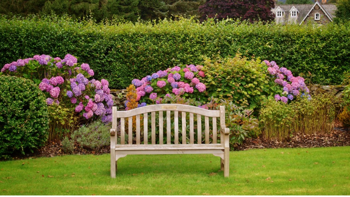 Gartenbauer enthüllen: Warum Sie Ihre Hecke im März schneiden sollten