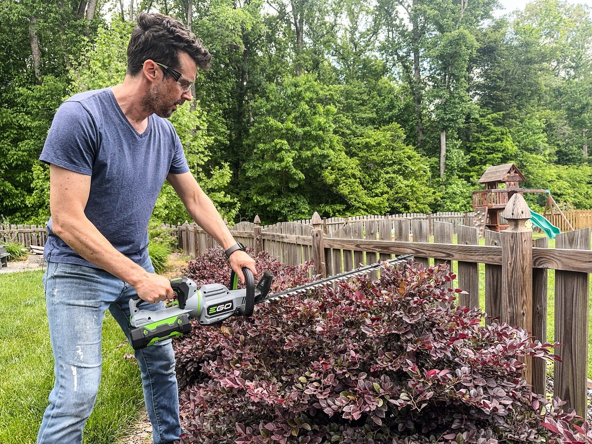 Gartenbauer enthüllen: Warum Sie Ihre Hecke im März schneiden sollten - image 2