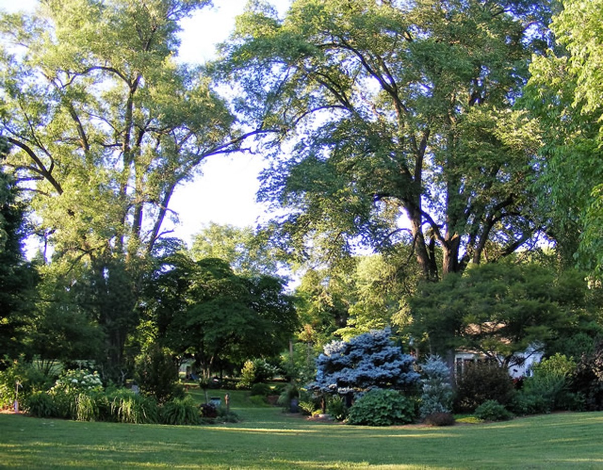 Gartenexperten raten: Warum du Unkraut lieber morgens jäten solltest - image 2