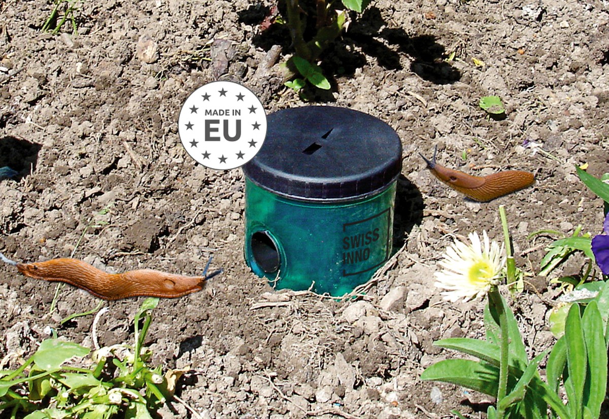 Gärtner verraten: Das einzige Mittel gegen Schnecken, das wirklich hilft - image 1