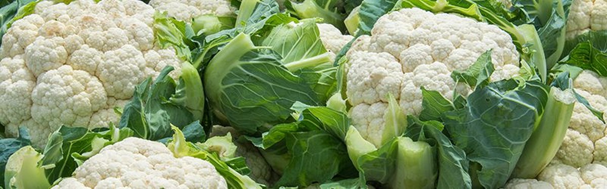 Gärtner verraten: Warum Blumenkohl vor Sonnenaufgang geerntet wird - image 2