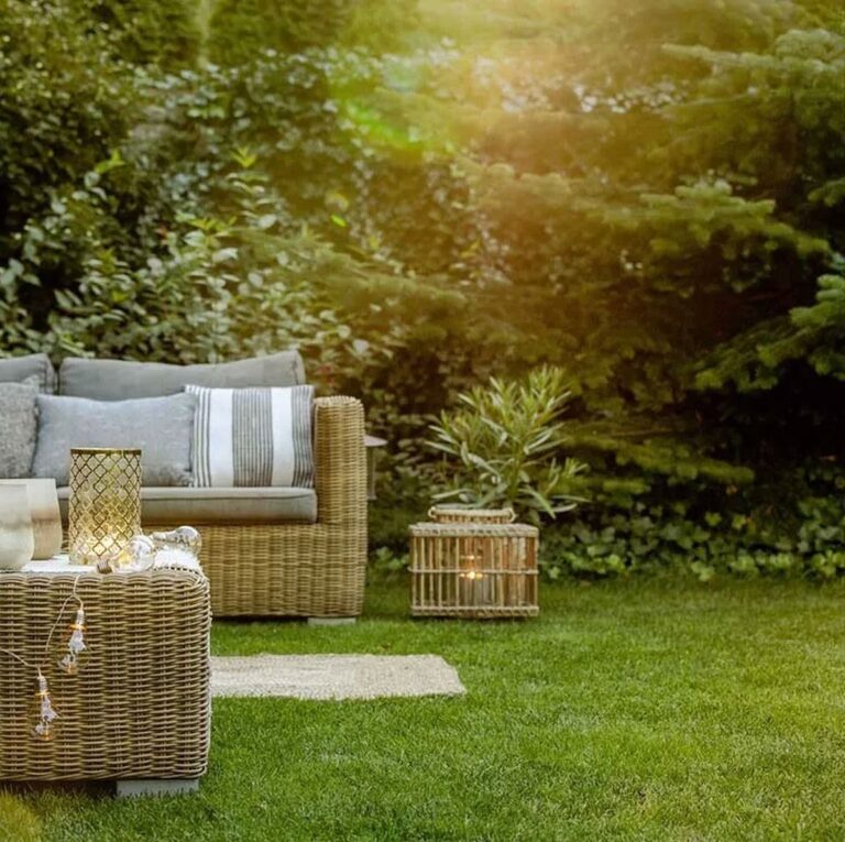 Gärtner warnen: Diese Pflanze zerstört deine Terrassenfugen