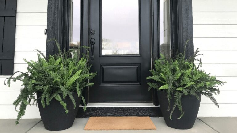 Gärtner warnen: Niemals diese Pflanzen neben die Haustür stellen