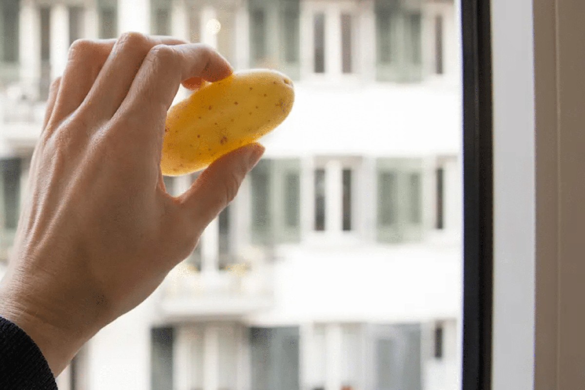 Kartoffelschalen für glänzende Fenster – Ein Trick aus der DDR-Hausfrauenzeit