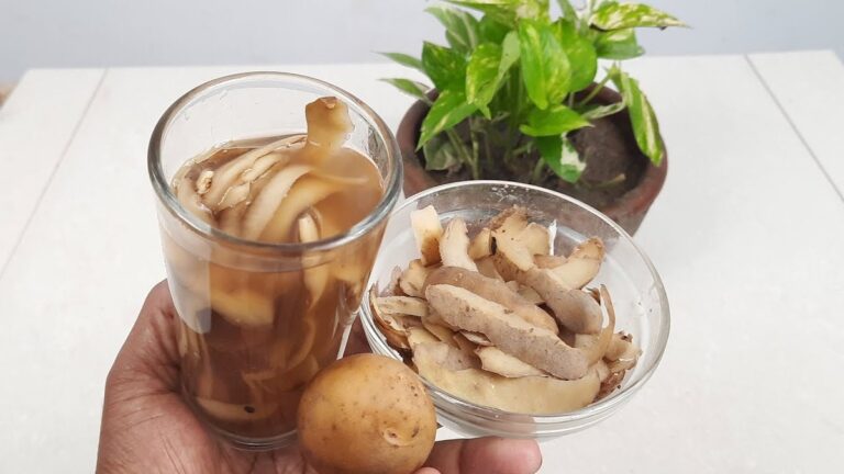 Kartoffelschalen als Dünger: Was Gärtner dir nicht erzählen