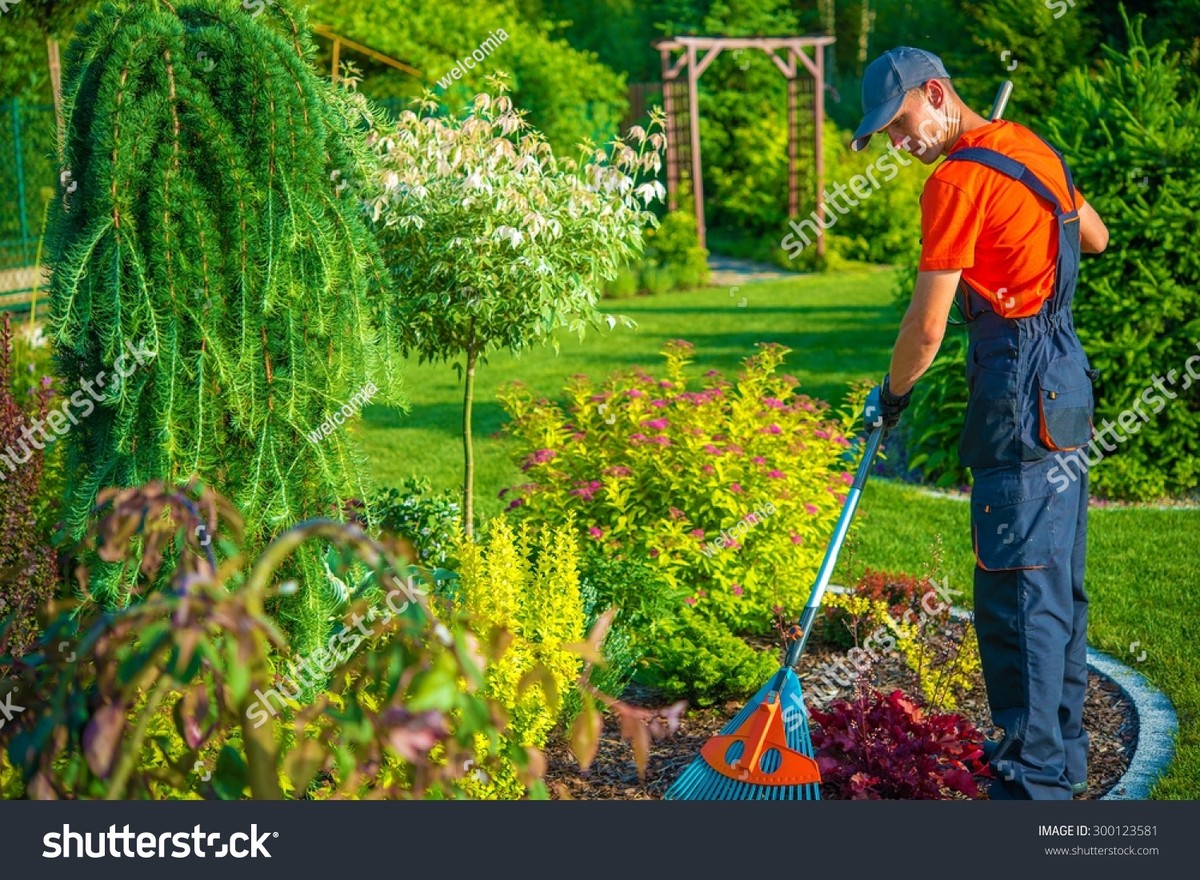 Was Gärtner niemals auf den Rasen im Frühling bringen würden - image 2