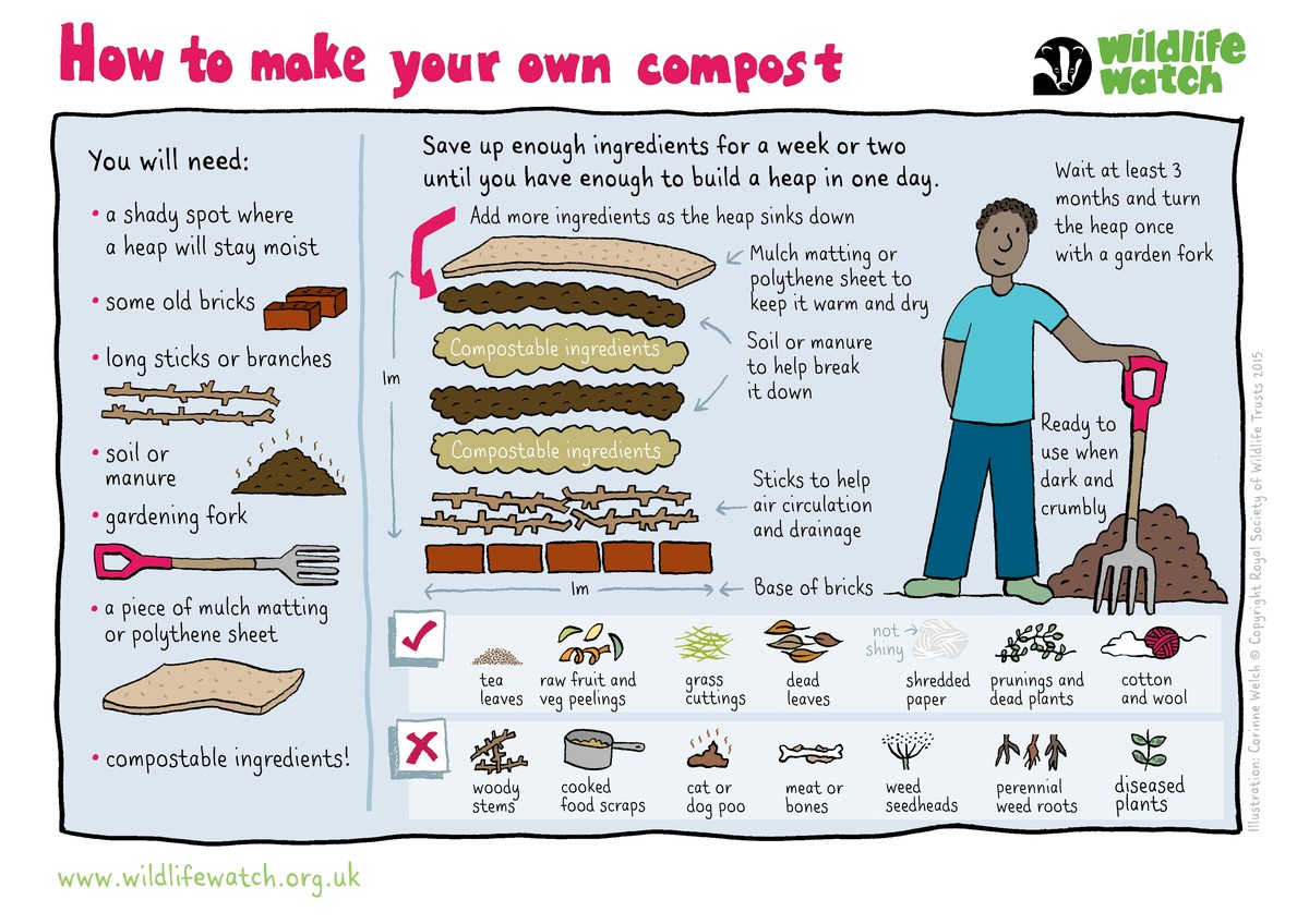 Was Gärtner über Tomatenanbau verschweigen – der Boden ist entscheidend - image 2